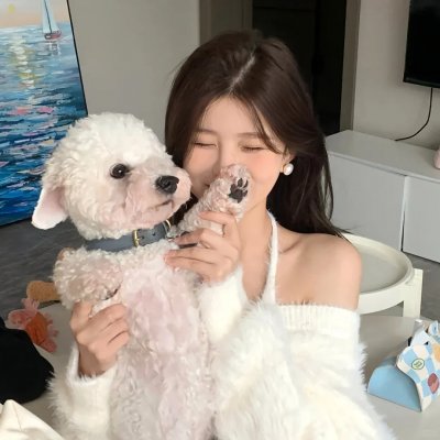 当狗爱上猫粤语